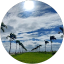K z profile picture