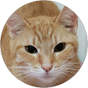 ちえ profile picture