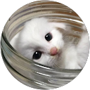 hk sz profile picture