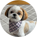 まゆ profile picture