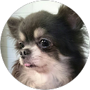 松田優子 profile picture