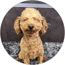 たかこう profile picture