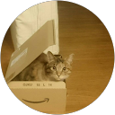 harumi kato profile picture