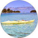 online fr profile picture