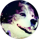 KEI profile picture