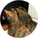 ききらら profile picture