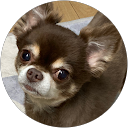ヒロロ profile picture