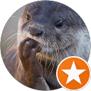 * * (*) profile picture