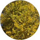 なな profile picture