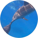 Yumi “ゆう” U profile picture