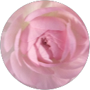 R Nr profile picture