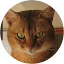 ジャイアントコーンカレー味 profile picture