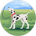 Ryoko Ueda profile picture