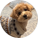 キョン profile picture