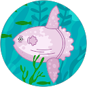 Hello my ph profile picture