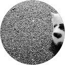 mint profile picture