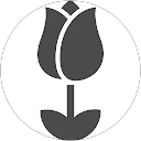 ai imai profile picture