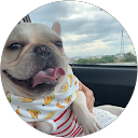 あきさん profile picture