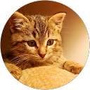 duck center profile picture