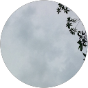 misa profile picture