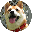 nopopochinoko ありさ (のぽぽちのこ) profile picture