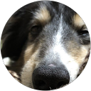 Yosuke profile picture