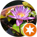 yamabuki77 profile picture