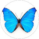 池畑久美子 profile picture