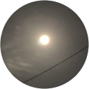 七馬 profile picture