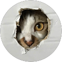 村山莉功 profile picture