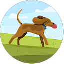 A S profile picture
