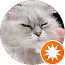 ぽんた profile picture