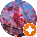 N H (Lily) profile picture