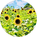 。さぉ profile picture