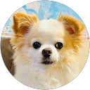 kunio Yamada profile picture