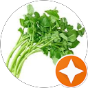 関口太一 profile picture