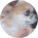 かおり profile picture