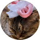 チャー子 profile picture