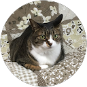 nyanpi004 profile picture