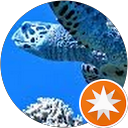 Ken Fujita profile picture