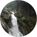 新田 profile picture