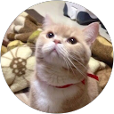 るんるんるん profile picture