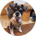 幸子 profile picture