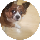 まーくん profile picture