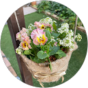 mochaemma profile picture