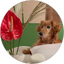 meg occky profile picture