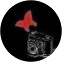 皐月 profile picture