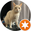 Yasuhide T profile picture