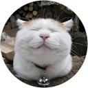 hiroko yonekura profile picture