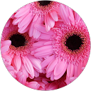 ディア profile picture